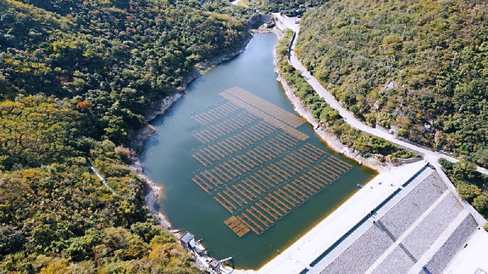 某水厂水资源论证服务项目